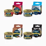 Areon Ken, Bans Auto Store